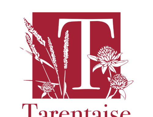 Tarentaise