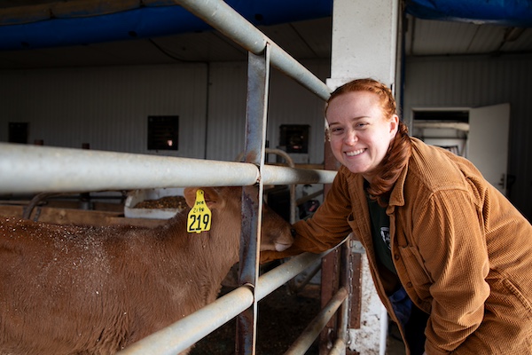 Kayleigh Boucher at Green Mountain Blue Cheese shows off one of the cows from her dairy herd